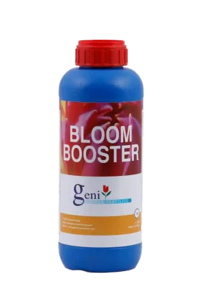 Bestseller - Geni Bloom Booster ~ PK Booster