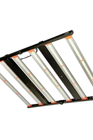 Lumen King LED - 630 Watt / 1000 Watt | Scherpe prijs