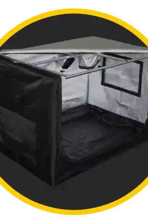 Slechts tijdelijk - Mammoth Prime Propagator 90 - 90x60x60cm