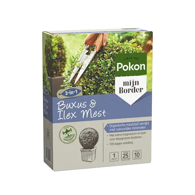 Pokon Buxus & Ilex Mest - 1kg - Nieuw in de shop
