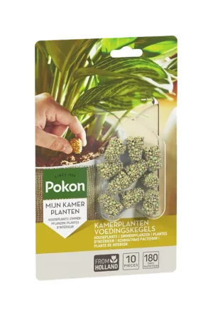 Laatste kans - Pokon Kamerplanten Voedingskegels - 10 stuks