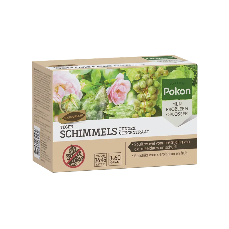 Pokon Tegen Schimmels Fungex Concentraat - 3 x 60 gram - Gratis retourneren