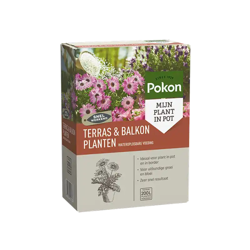 Pokon Terras & Balkon Planten Wateroplosbare Voeding - 500g - Superprijs