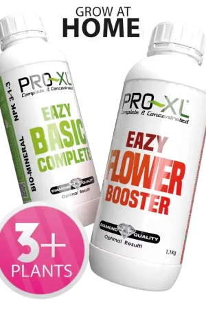 Korting - Pro-XL Eazy Pack