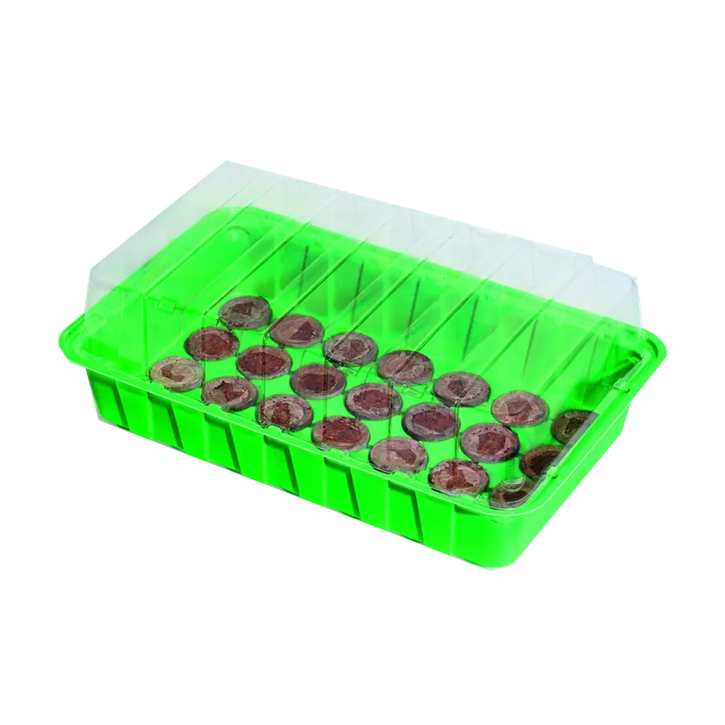 Snelle levering | Romberg Jeanne 36x22x13cm incl. 15 tabletten