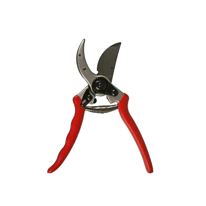Voordeelprijs - Solinger Snoeischaar 10cm ~ Scharen & Knippers