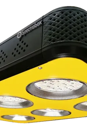 Klantfavoriet - Spectrabox XTReme 2 LED