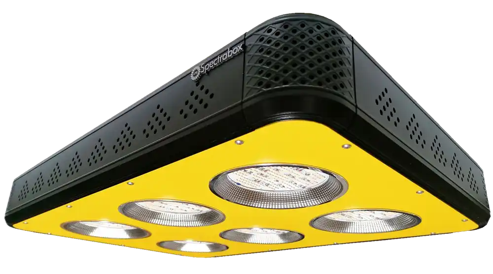 Klantfavoriet - Spectrabox XTReme 2 LED