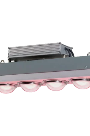 Zolang de voorraad strekt | Spectro Light BLAST 400
