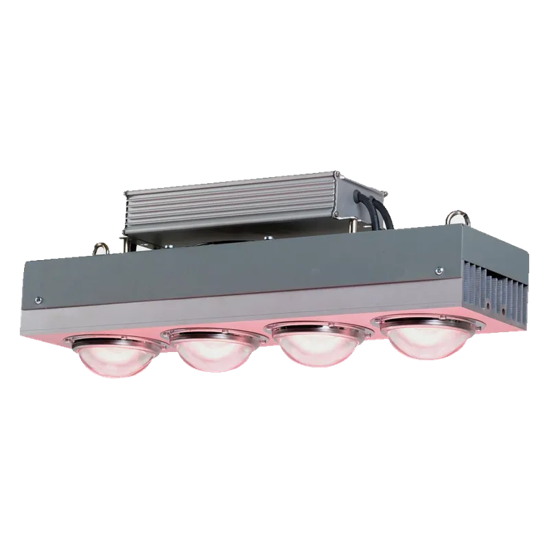 Zolang de voorraad strekt | Spectro Light BLAST 400
