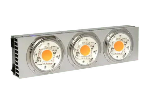 Spectro Light Blast 500 Limited Edition - Kweeklamp | Bestseller