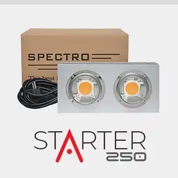 Spectro Light STARTER 250 - Aanrader