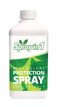 Koopje | Spray in 1 - Beschermingsspray / Meeldauw - 500ml