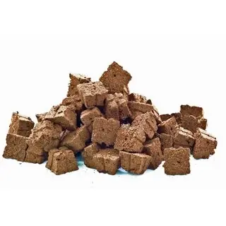 Aanrader | Eazy Plug 1000 Bulk - Kweekpluggen