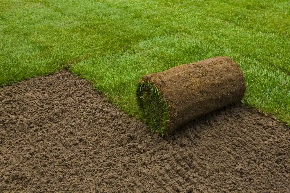 Zeer goed beoordeeld - Graszoden 10m2 - 25m2