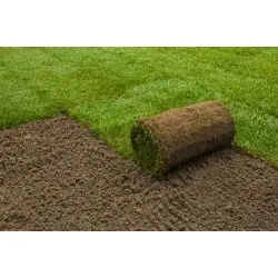 Graszoden 26m2 - 50m2 - Pak je kans