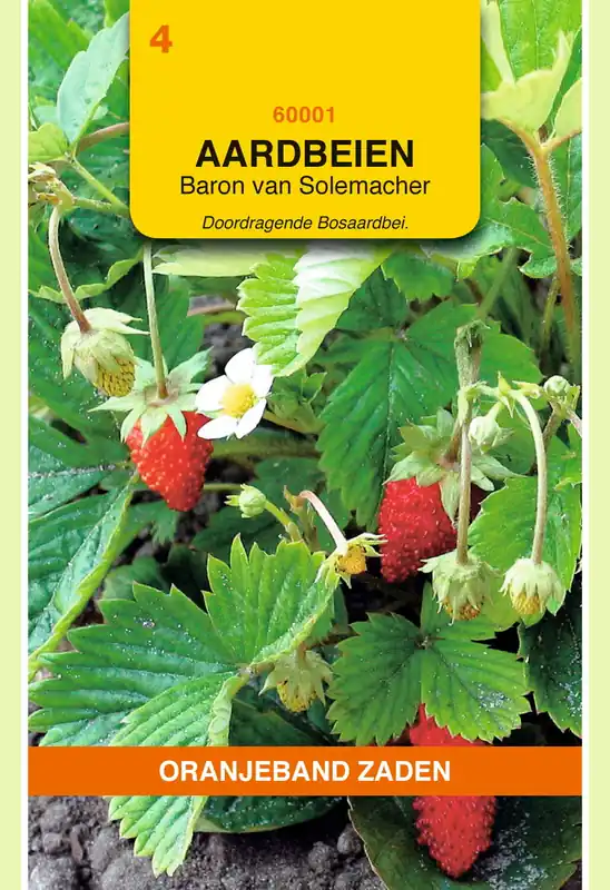 Topprijs | OBZ Aardbeien Baron von Solemacher
