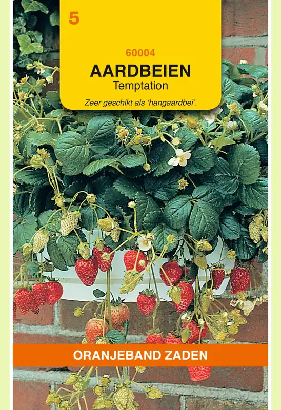 Goed beoordeeld | OBZ Hangaardbeien Temptation