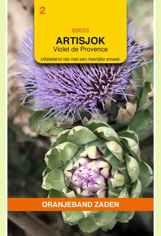 OBZ Artisjokken Violet de Provence - Nu kopen