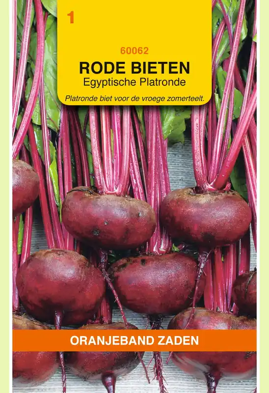 OBZ Rode Bieten Egyptische Platronde - Scherpe prijs