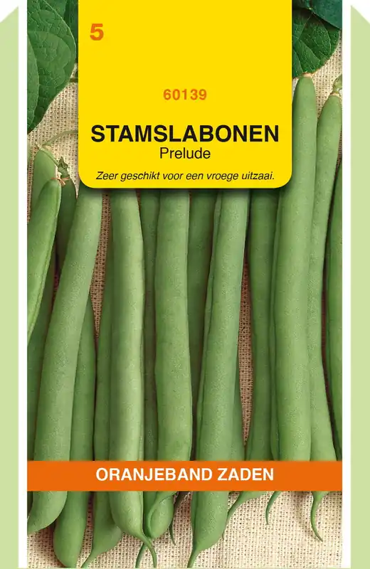 Sale | OBZ Stamslabonen Prelude, 100g