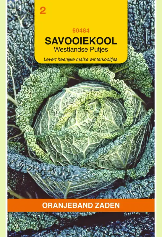 Net toegevoegd - OBZ Savooiekool Donkergroene Putjes