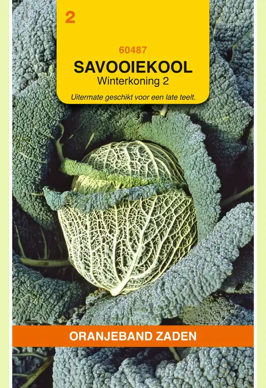 Deal | OBZ Savooiekool Winterkoning 2