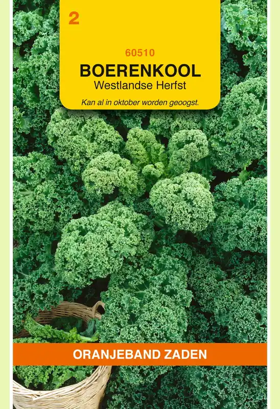 Erg populair | OBZ Boerenkool Westlandse Herfst (laat type)