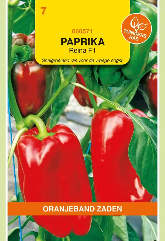Veel gevraagd - OBZ Paprika Solero F1 (vh Reina)