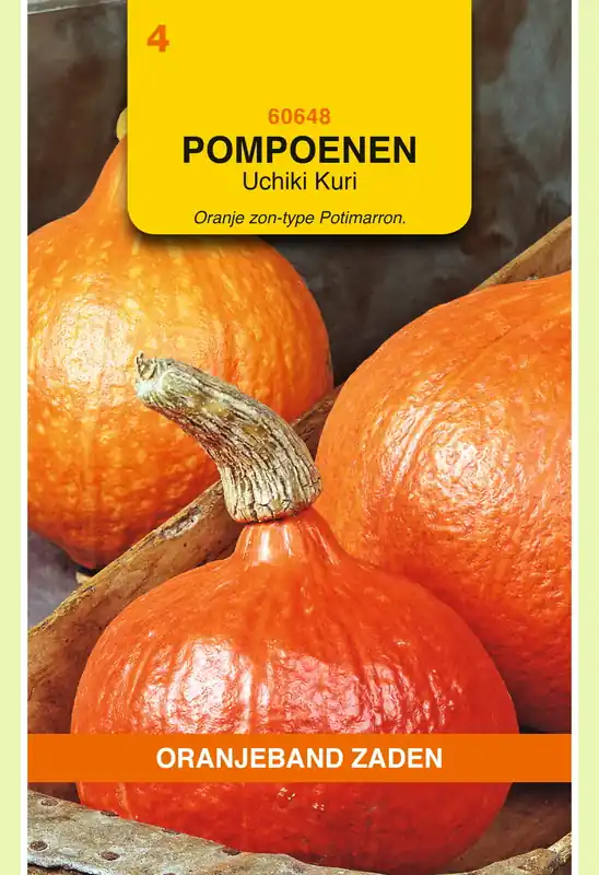 Opruiming - OBZ Pompoenen Uchiki Kuri