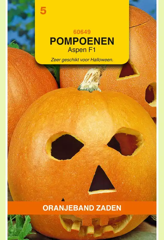 Flitsaanbieding | OBZ Pompoenen Aspen
