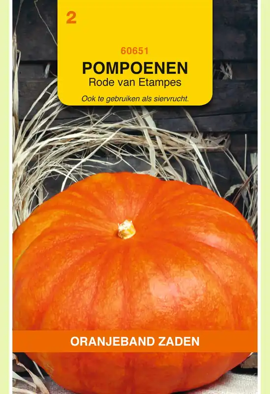 OBZ Pompoenen Rode Van Etampes | Veel voordeel
