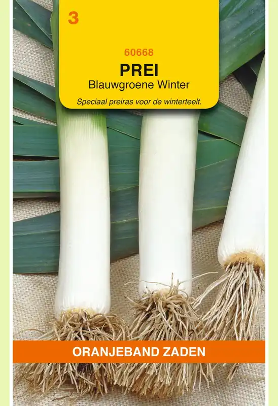 Outlet | OBZ Prei Blauwgroene Winter