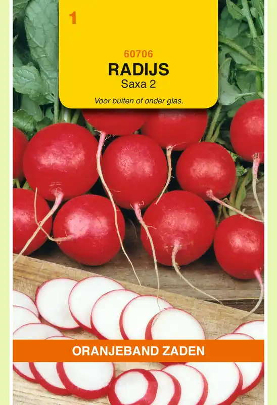 Profiteer nu | OBZ Radijs Saxa 2