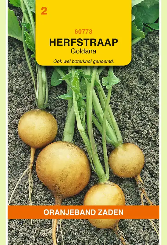 Nieuw product | OBZ Rapen Goldana
