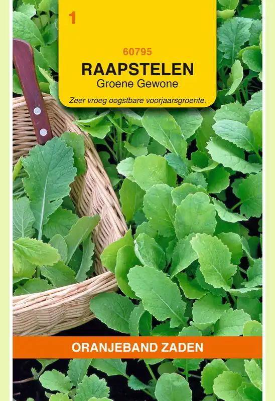 OBZ Raapstelen Groene Gewone - Bijna uitverkocht