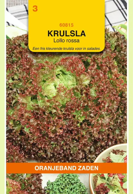 Premium | OBZ Krulsla Lollo Rossa