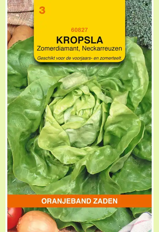 Direct beschikbaar - OBZ Kropsla Zomerdiamant