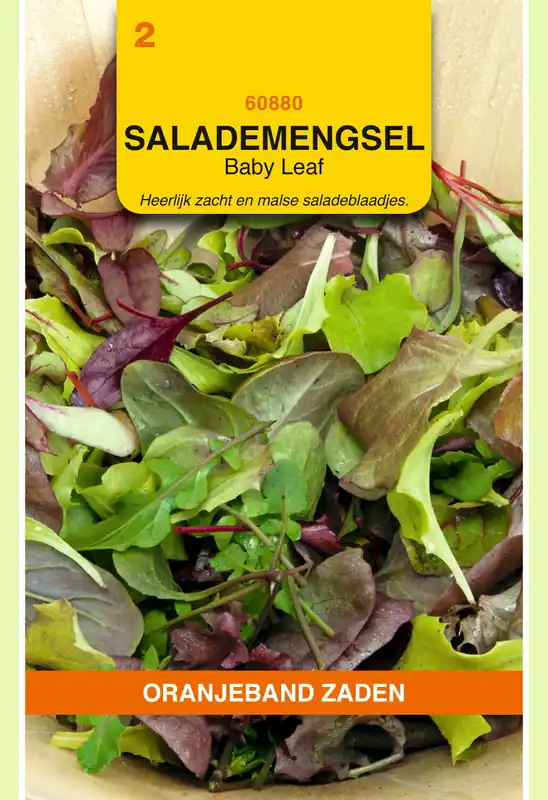 OBZ Salade Mengsel Baby-Leaf - Aanbieding