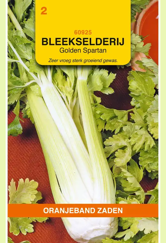 Speciale aanbieding | OBZ Bleekselderij Golden Spartan