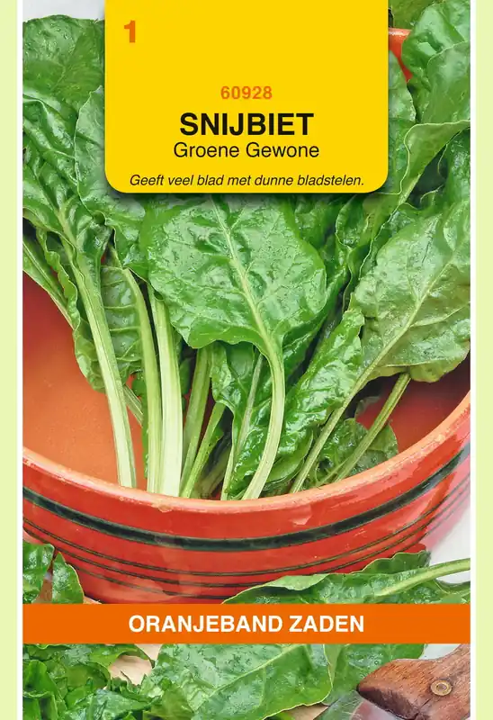 OBZ Snijbiet Groene Gewone - Outlet