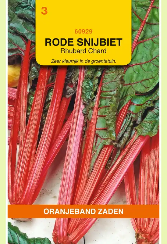 Shop nu - OBZ Snijbiet Rhubarb Chard