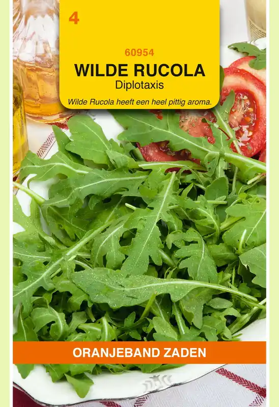 Veel gekozen | OBZ Wilde Rucola - Diplotaxis