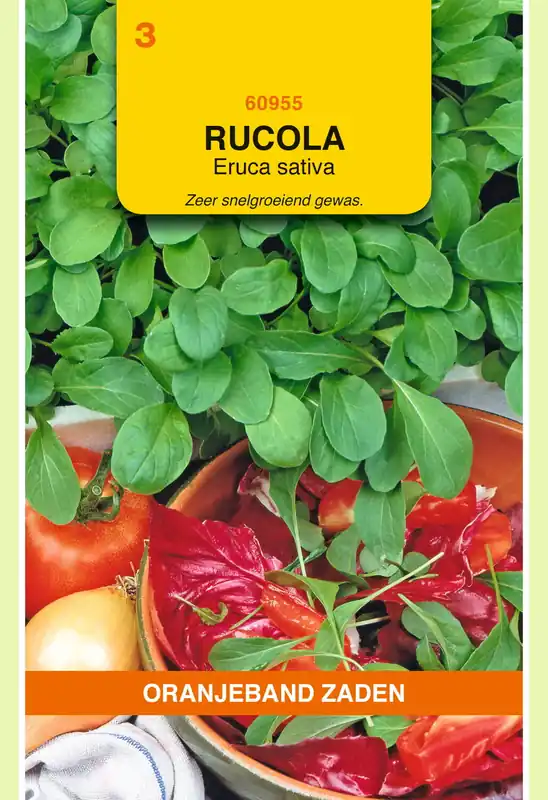OBZ Rucola Gewone | Nieuw in het assortiment