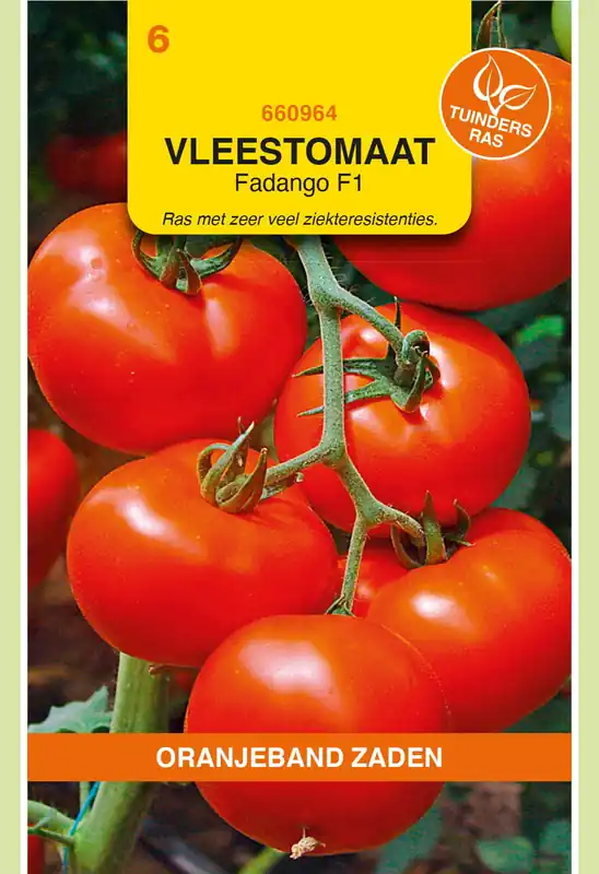 Verlaagde prijs | OBZ Tomaten Menhir F1 (wordt Fadango)