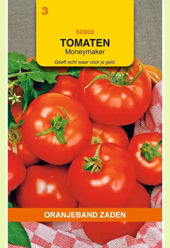 OBZ Tomaten Moneymaker | Gratis retourneren