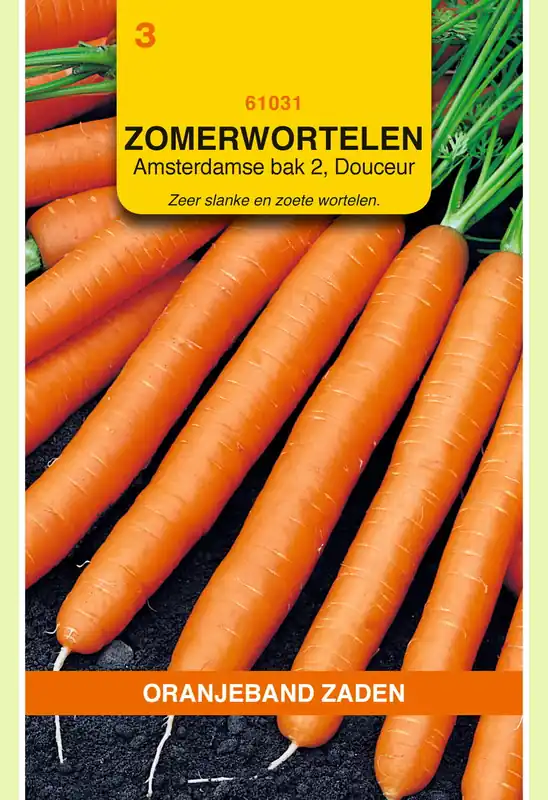 OBZ Zomerwortelen Amsterdamse Bak 2, Douceur | Trending