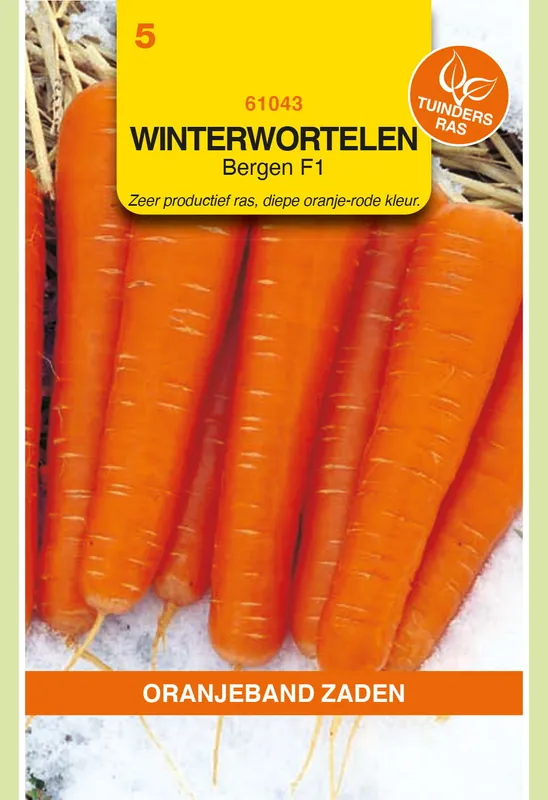 OBZ Winterwortelen Elegance F1 (vh Major) | Premiumkwaliteit