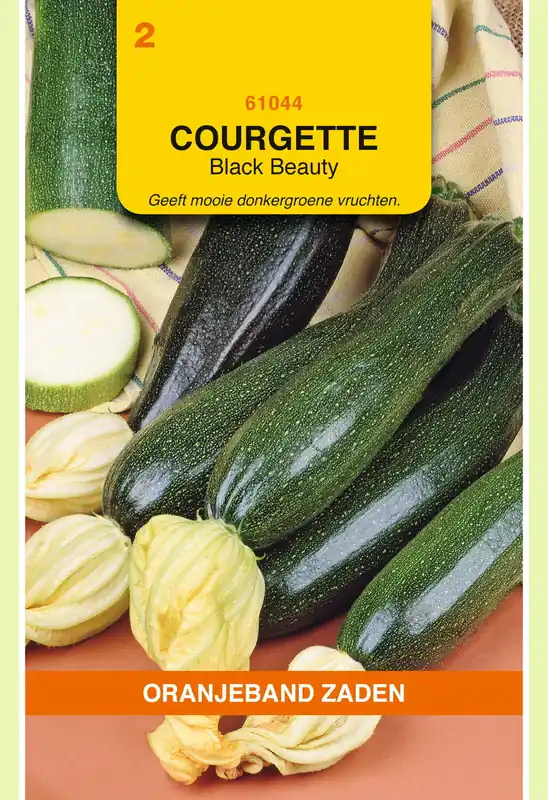 OBZ Courgette Black Beauty | Online bestelbaar