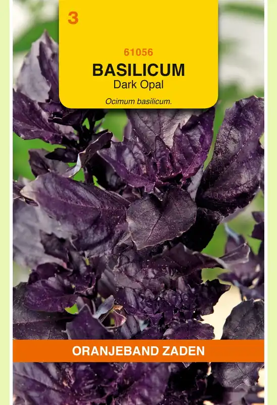Goed beoordeeld | OBZ Basilicum Dark Opal